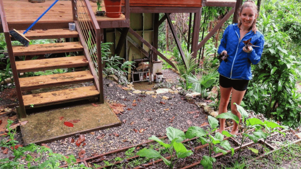 Growing food off the grid