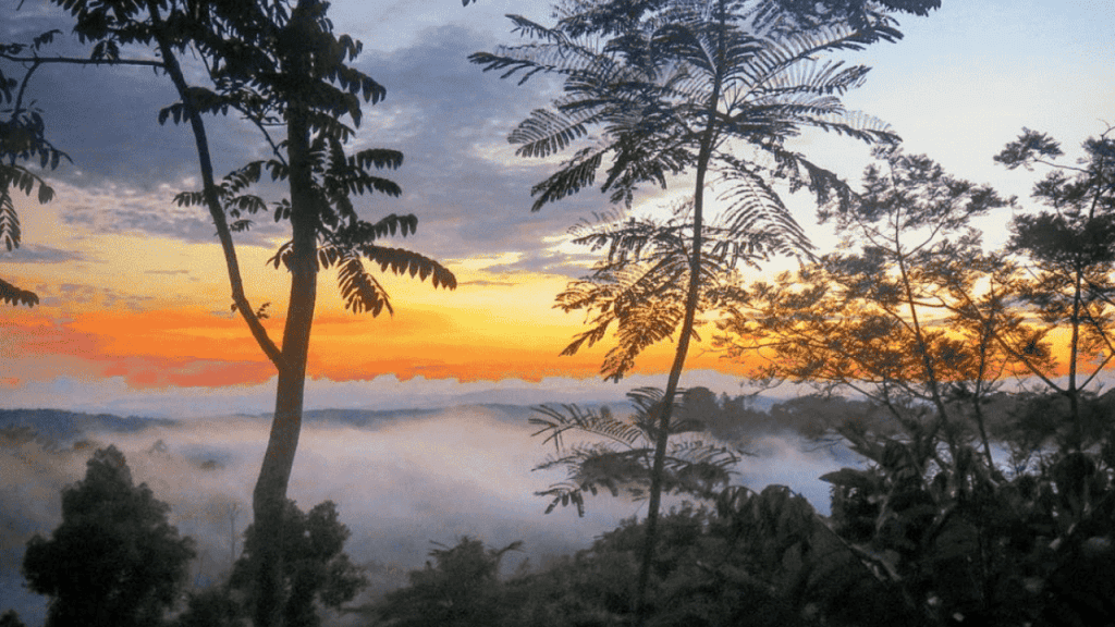 View from an off-grid home in Costa Rica