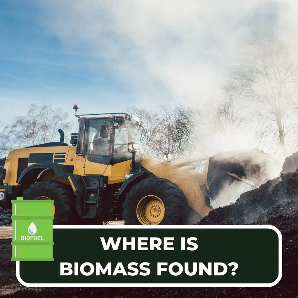 sourcing biomass
