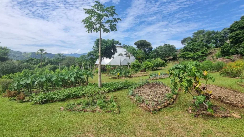 Organic gardens at Alegria Eco Village in Costa Rica