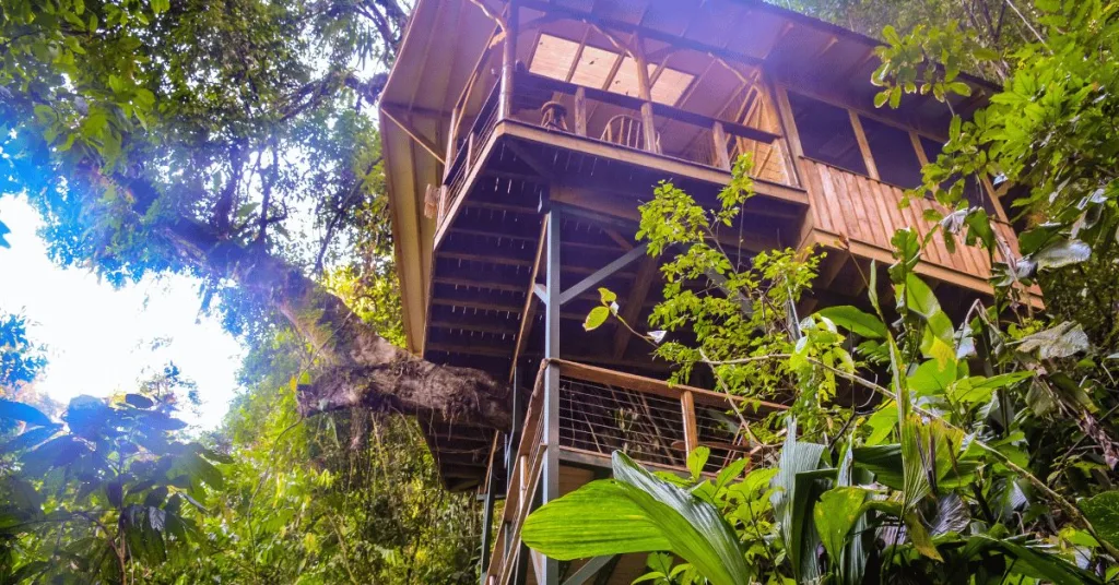 An off-grid tree home in the rainforest with a tree growing through it