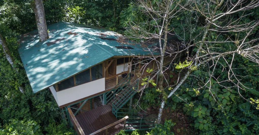 Aerial view of an off-grid home witrh a tree growing out
