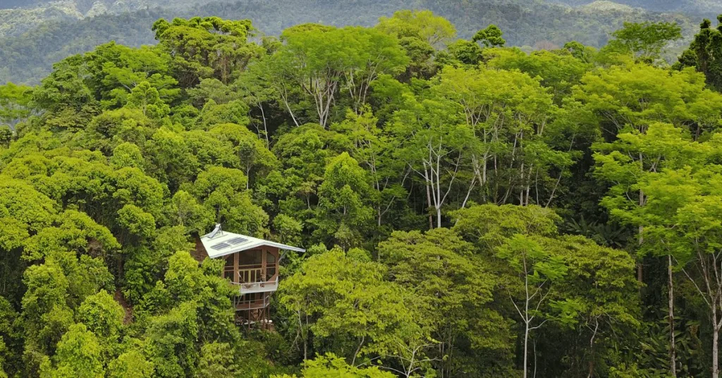 off-the-grid homes in the rainforest