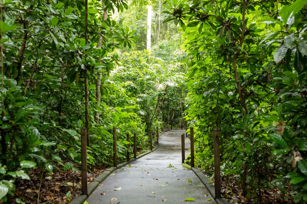 Carara National Park walkway