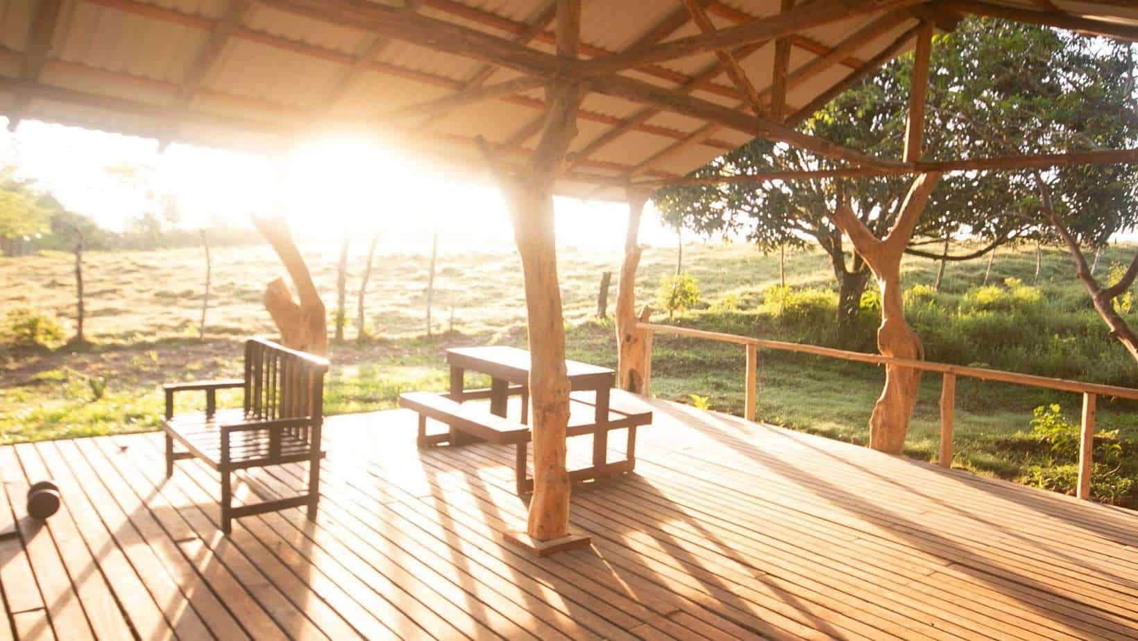 Katira Treehouse Grounds