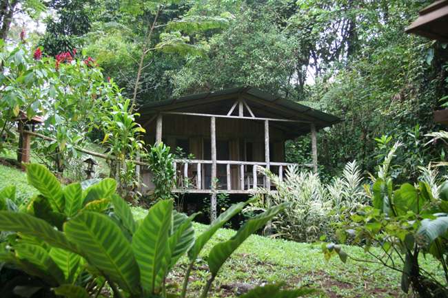 Lodge in the Costa Rican Rainforest