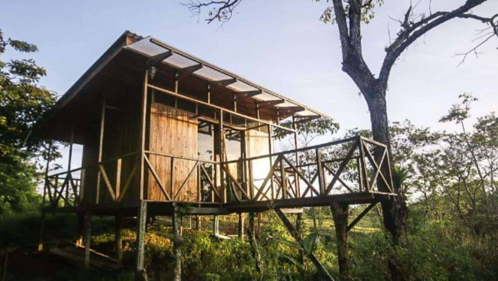 Tai tree house at Katira Tree houses